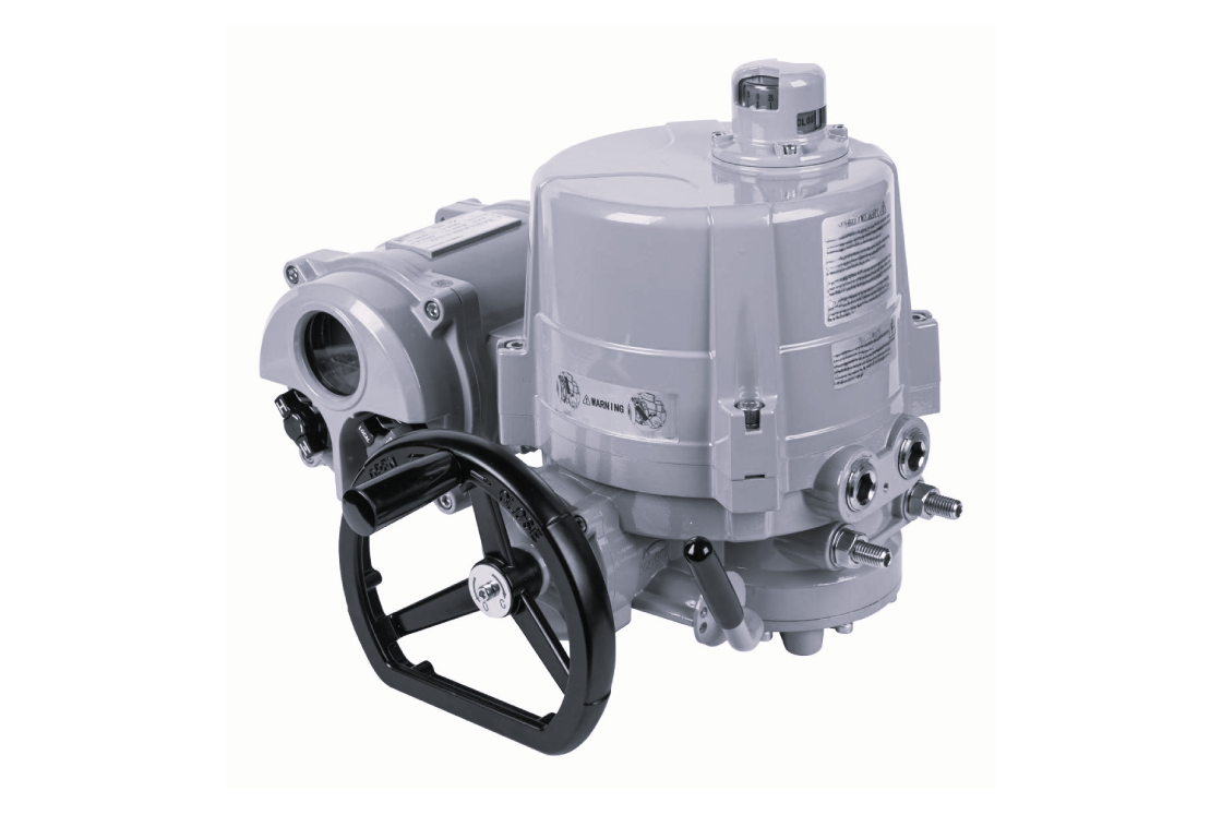 Ридан 065L8255R — Электропривод AMB-H-350 380В с блоком управления RY; IP67; для шаровых кранов RJIP DN300 стандартный проход